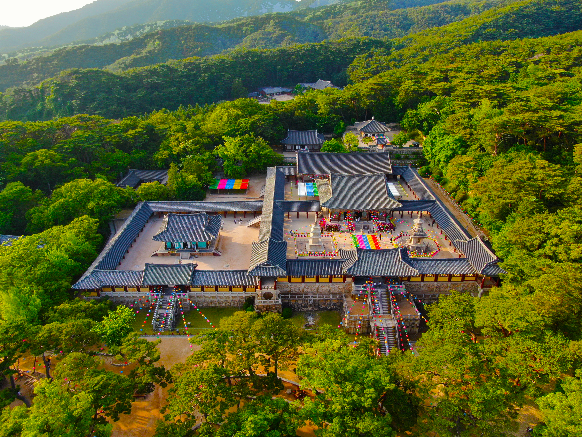 숲과 어우러진 경주의 역사문화유산 전경